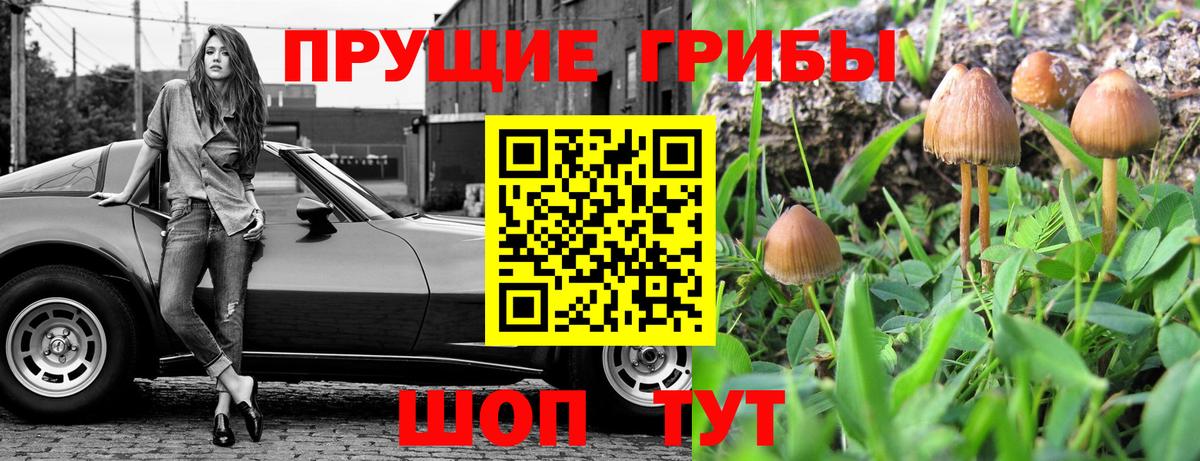 Галлюциногенные грибы GOLDEN TEACHER Миасс