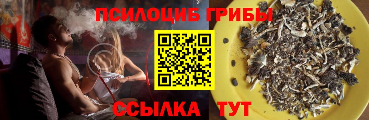 Псилоцибиновые грибы MAGIC MUSHROOMS  Вход с VPN  Миасс 